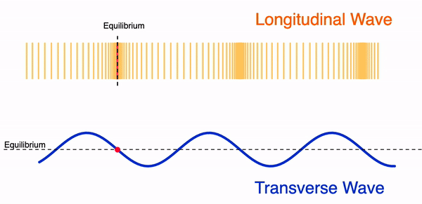 Longitudinal and transverse waves